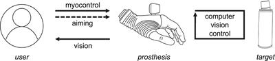 Continuous Semi-autonomous Prosthesis Control Using a Depth Sensor on the Hand